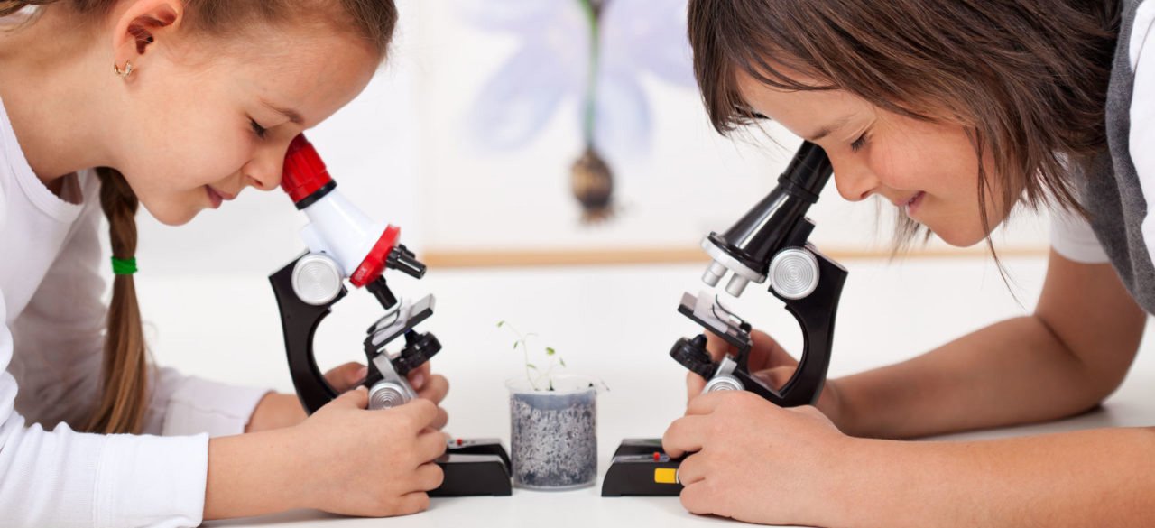 микроскопы детские в Туле
